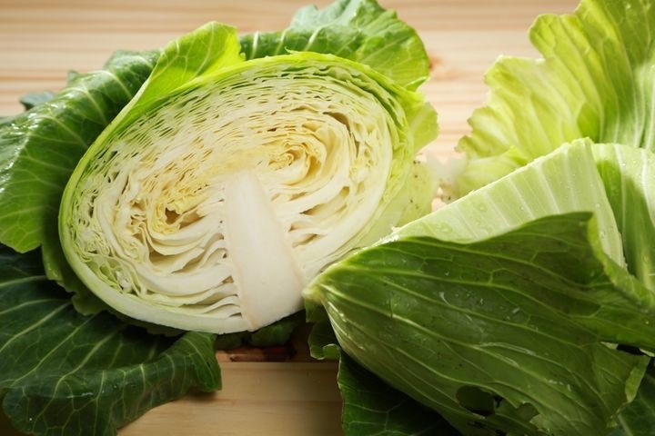 特級高山高麗菜