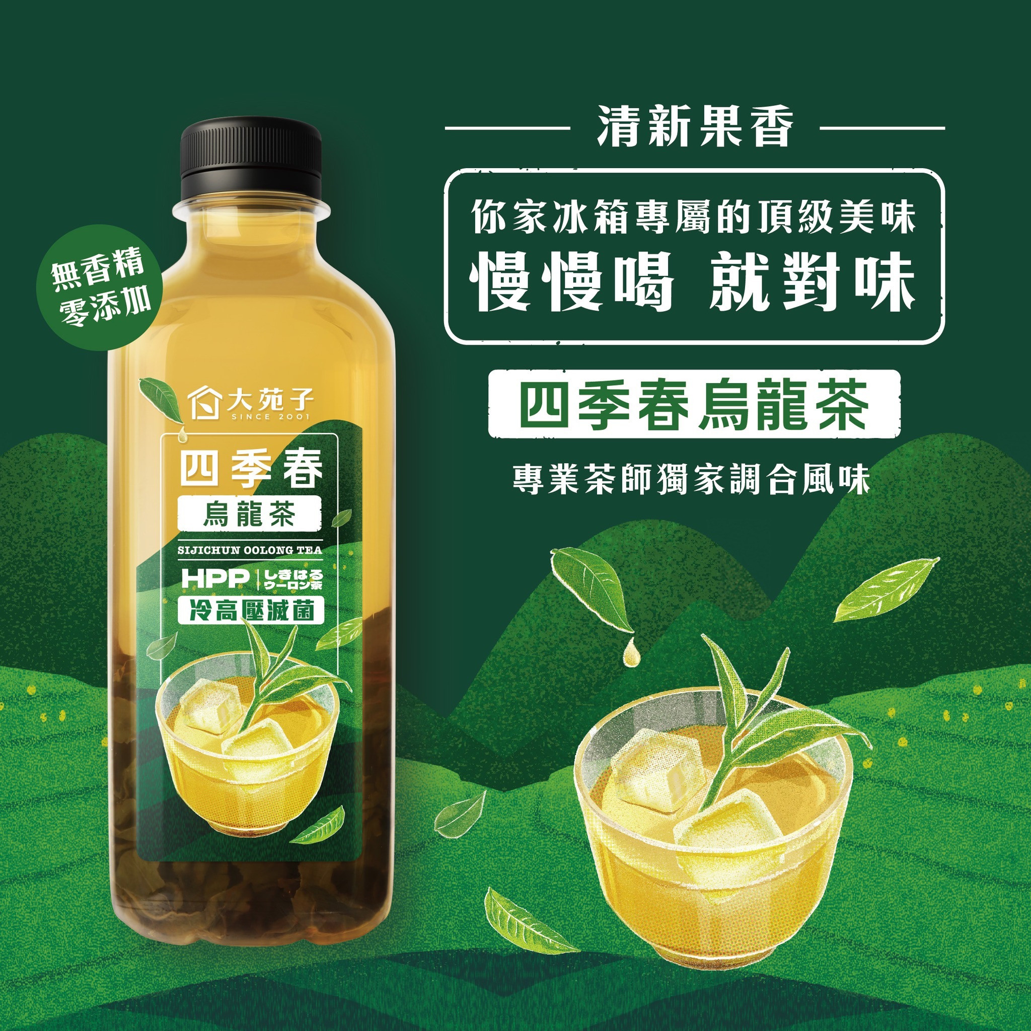 大苑子 四季春烏龍茶